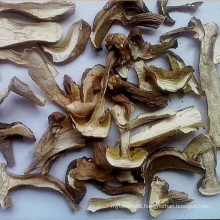 Dried Porcini Mushroom Slice Boletus Edulis Wild Source